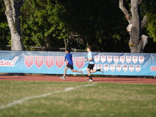 Enlarge photo 215