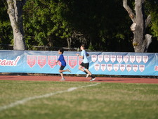 Enlarge photo 217