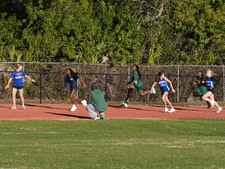 Enlarge photo 216