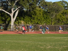 Enlarge photo 225
