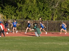Enlarge photo 226