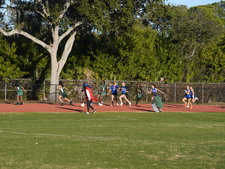 Enlarge photo 228