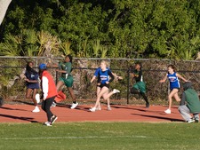 Enlarge photo 229