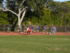 Enlarge photo 231