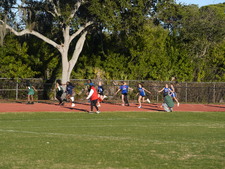 Enlarge photo 232