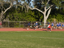 Enlarge photo 235