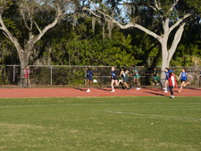 Enlarge photo 239
