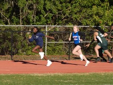 Enlarge photo 238