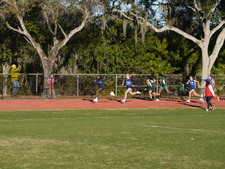 Enlarge photo 240