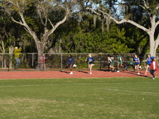 Enlarge photo 241