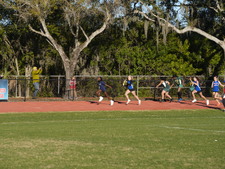 Enlarge photo 242