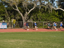 Enlarge photo 245