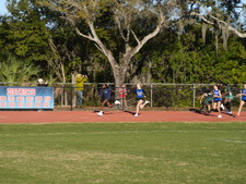 Enlarge photo 246