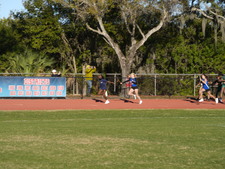 Enlarge photo 247