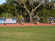 Enlarge photo 253