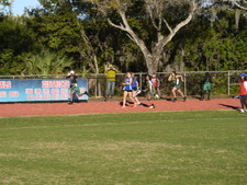 Enlarge photo 259