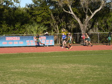Enlarge photo 261