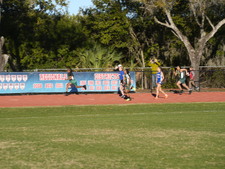Enlarge photo 264