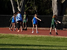 Enlarge photo 266