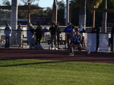 Enlarge photo 315