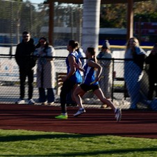 Enlarge photo 320