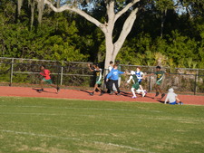 Enlarge photo 333
