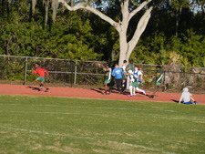 Enlarge photo 335