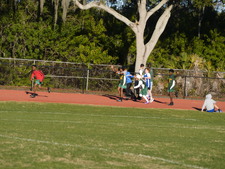 Enlarge photo 336