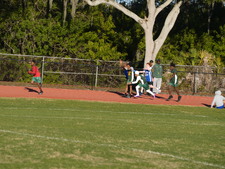 Enlarge photo 337