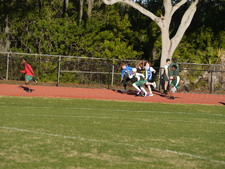 Enlarge photo 339