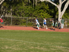 Enlarge photo 343