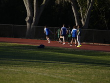 Enlarge photo 352