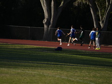 Enlarge photo 354