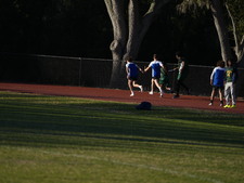 Enlarge photo 356