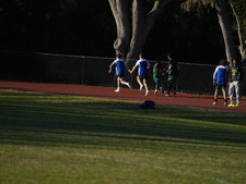 Enlarge photo 358