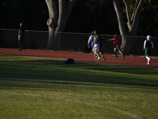 Enlarge photo 367