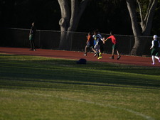 Enlarge photo 370
