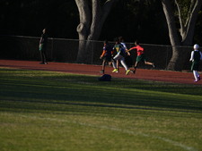 Enlarge photo 371