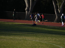Enlarge photo 372