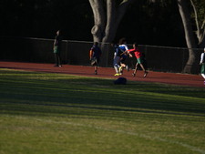 Enlarge photo 374