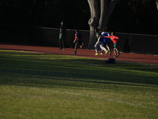 Enlarge photo 376
