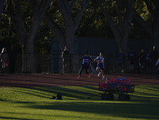 Enlarge photo 377