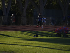 Enlarge photo 381