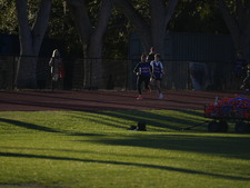 Enlarge photo 382