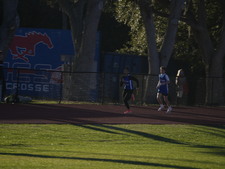 Enlarge photo 387