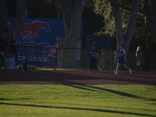 Enlarge photo 388