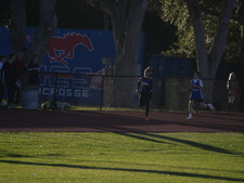 Enlarge photo 389