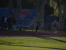 Enlarge photo 391