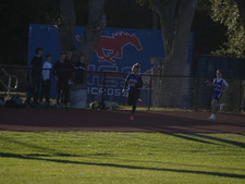 Enlarge photo 393