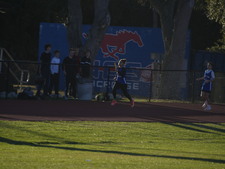 Enlarge photo 394
